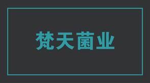 食品行业张家口市冲锋衣设计款式